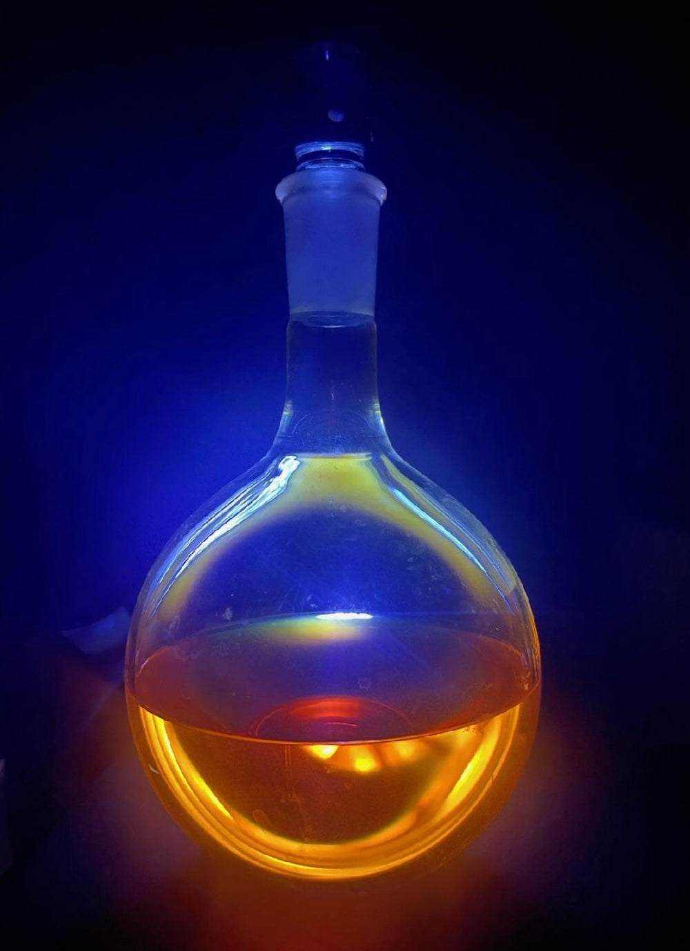 Master Mushroom Elixir